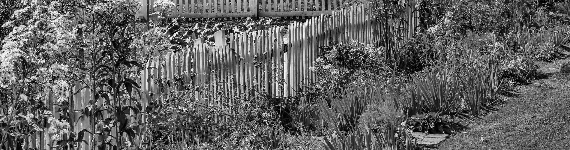 An image of a completed garden, with a selection of carefully chosen plants and a quaint styled picket fence.